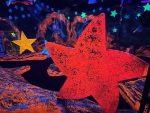 PHOTO-2024-03-09-11-50-21_1